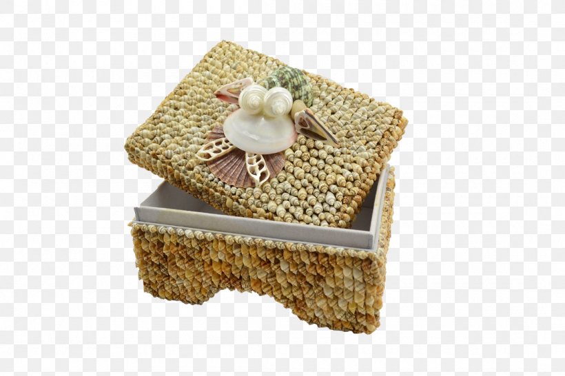 Nassa Shell Box With Feet 10x7x4