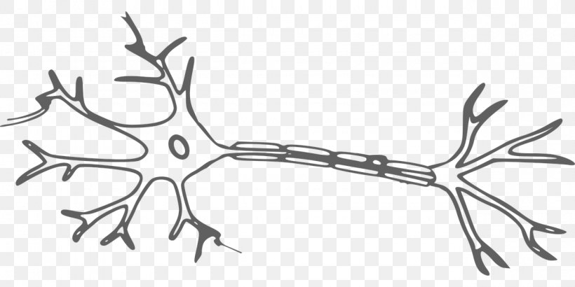 Neuron Nervous System Brain Clip Art, PNG, 1280x640px, Watercolor, Cartoon, Flower, Frame, Heart Download Free