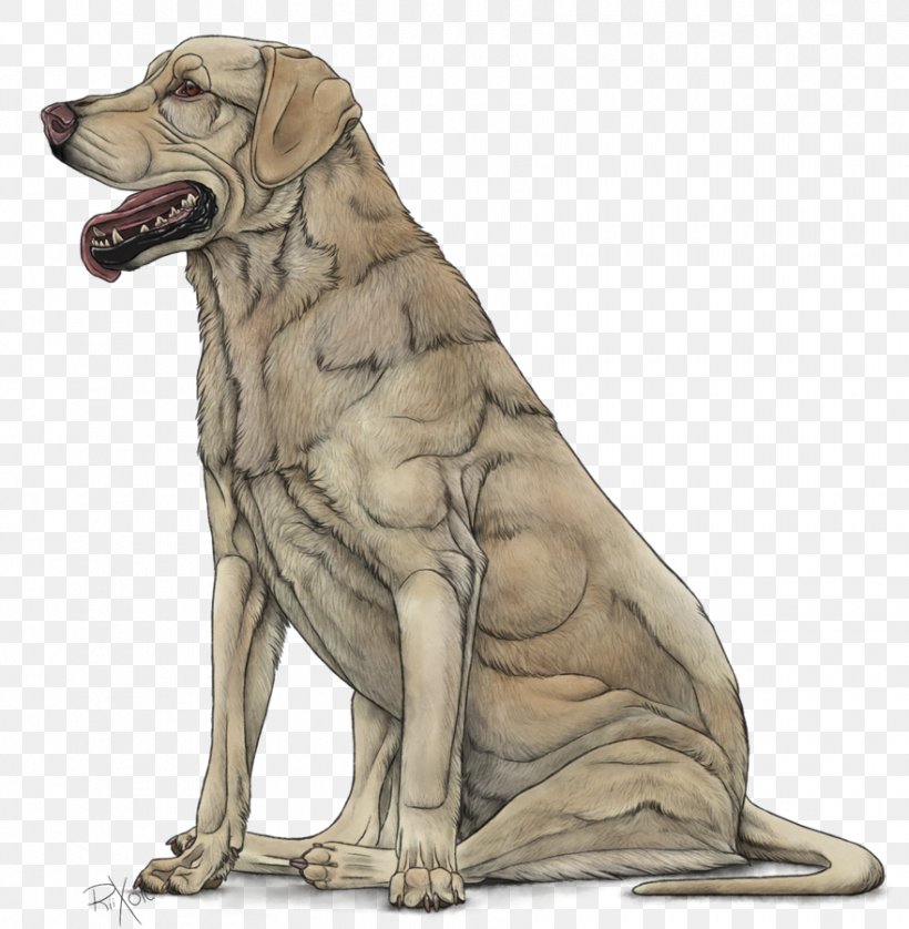 Dog Breed Labrador Retriever Sporting Group Puppy, PNG, 880x900px, Dog Breed, Art, Basset Hound, Breed, Carnivoran Download Free