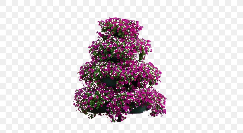 Floral Design Cut Flowers Shrub, PNG, 600x450px, Floral Design, Annual Plant, Bougainvillea, Cut Flowers, Family M Invest Doo Download Free