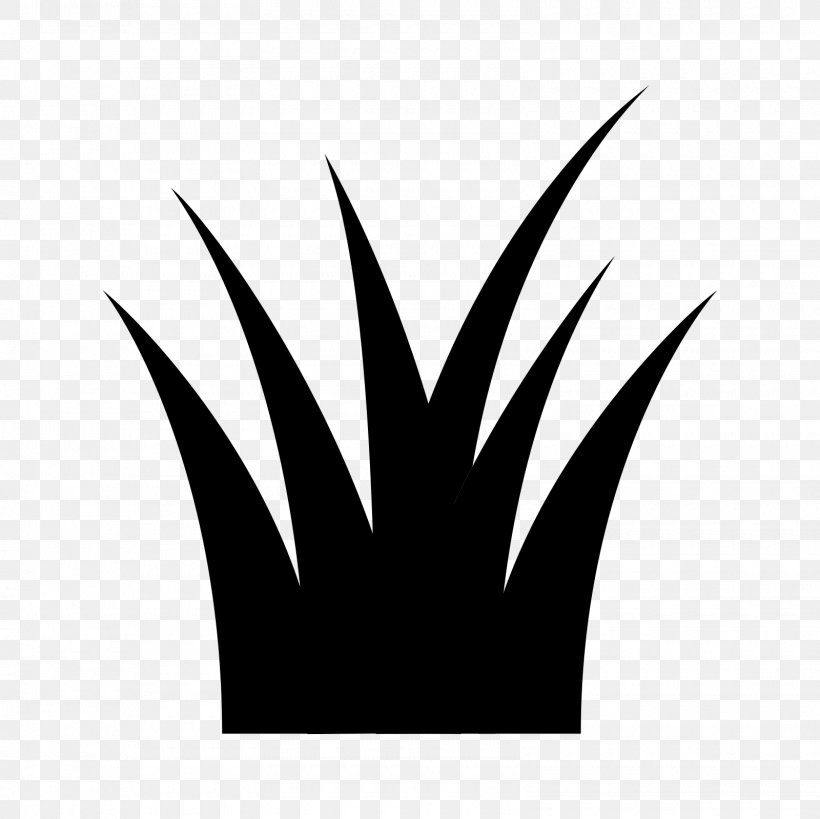 Logo Font Leaf Silhouette Desktop Wallpaper, PNG, 1600x1600px, Logo, Black, Black M, Blackandwhite, Closeup Download Free