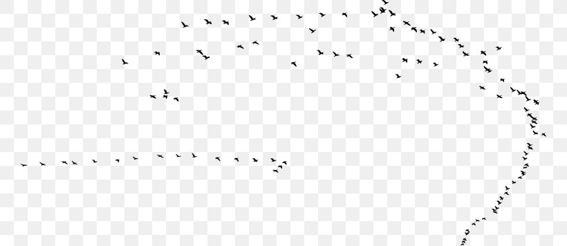 Bird Migration Swarm Behaviour Beak, PNG, 762x356px, Bird, Animal Migration, Area, Beak, Bird Migration Download Free