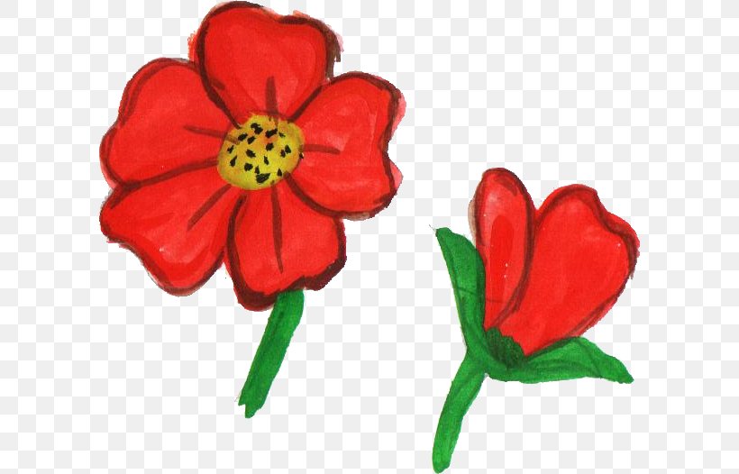Flowering Plant Cut Flowers Plant Stem Red, PNG, 600x526px, Flowering Plant, Cut Flowers, Flower, Herbaceous Plant, Petal Download Free