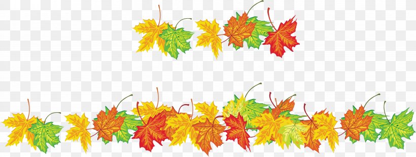 Maple Leaf Autumn, PNG, 6319x2382px, Leaf, Autumn, Digital Image, Flora, Floral Design Download Free