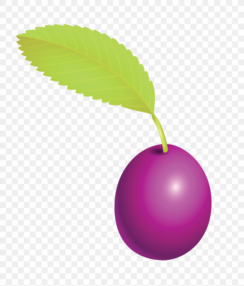 Prune Fruit, PNG, 2553x3000px, Prune, Berry, European Plum, Flower, Food Download Free