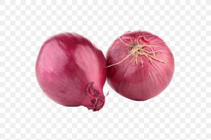 Red Onion Shallot Stock Photography Clip Art, PNG, 1000x667px, Red Onion, Beet, Beetroot, Food, Ingredient Download Free