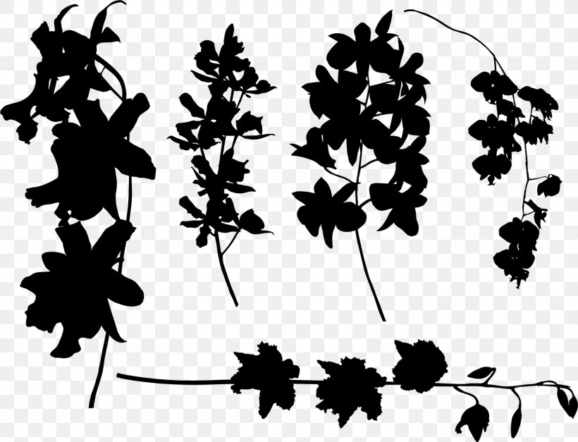 Twig Plant Stem Leaf Pattern Font, PNG, 1600x1225px, Twig, Blackandwhite, Botany, Branch, Floral Design Download Free