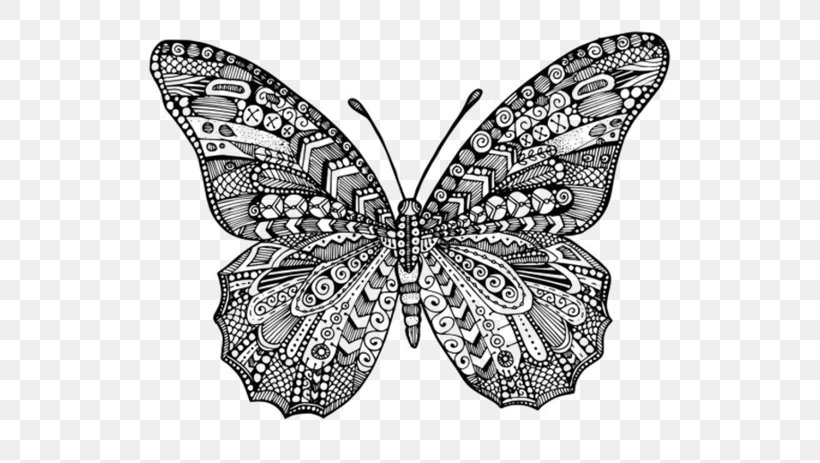 Monarch Butterfly Insect Brush-footed Butterflies Full-Color Decorative Butterfly Illustrations, PNG, 600x463px, Monarch Butterfly, Arthropod, Black And White, Brush Footed Butterfly, Brushfooted Butterflies Download Free