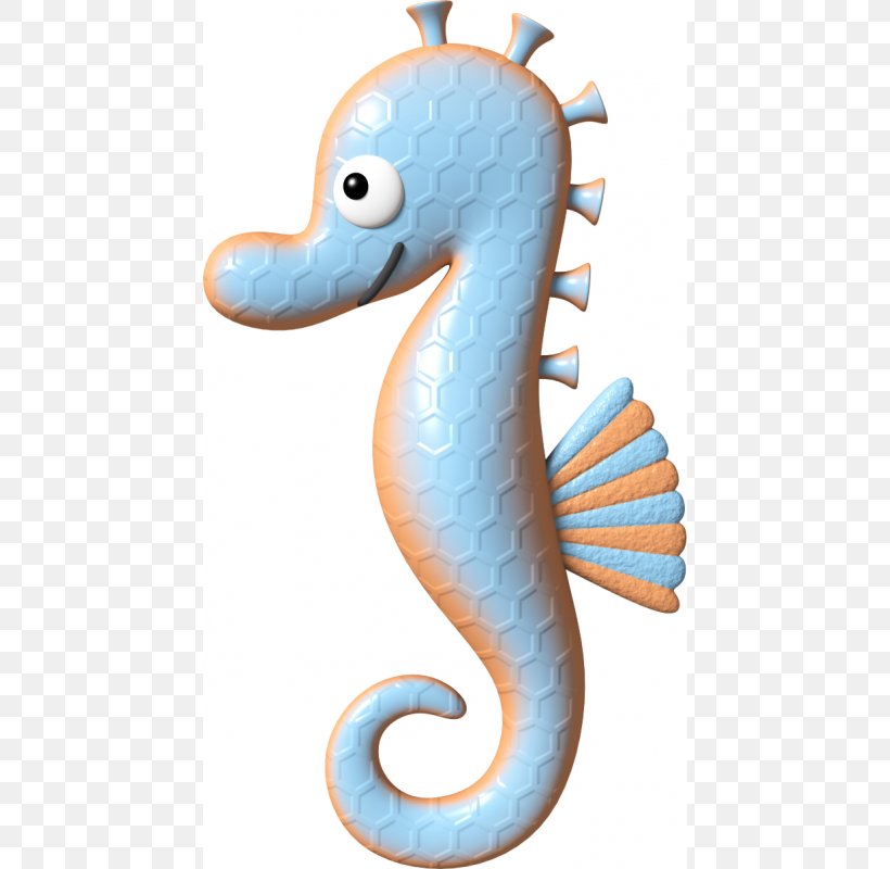 Seahorse El Caballito De Mar Sticker Wall Decal, PNG, 800x800px, Seahorse, Adhesive, Animal, Aquatic Animal, Child Download Free