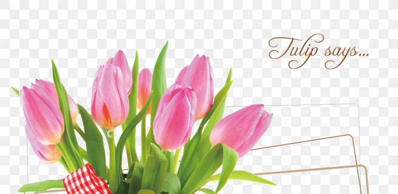 Tulip Floral Design Mothers Day Happiness, PNG, 850x414px, Tulip, Artificial Flower, Birthday, Com, Cut Flowers Download Free