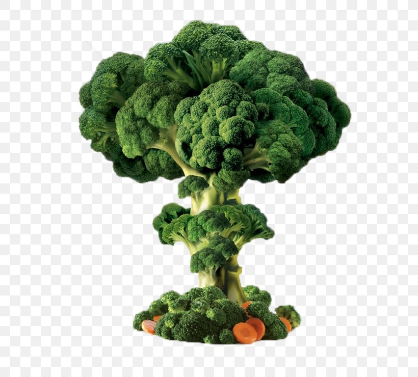 Broccoli Vegetable, PNG, 658x740px, Broccoli, Designer, Flowerpot, Food, Grass Download Free