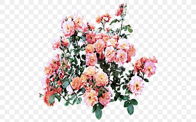 Garden Roses, PNG, 512x512px, Flower, Bouquet, Cut Flowers, Garden Roses, Petal Download Free