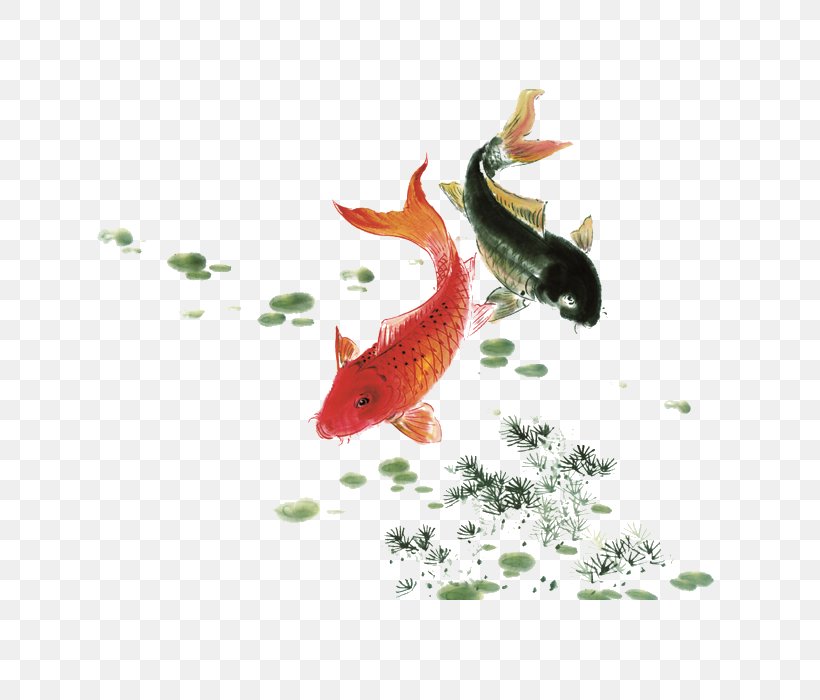 Koi Ink Wash Painting Watercolor Painting Fish, PNG, 700x700px, Koi, Carp, Common Carp, Fauna, Fish Download Free