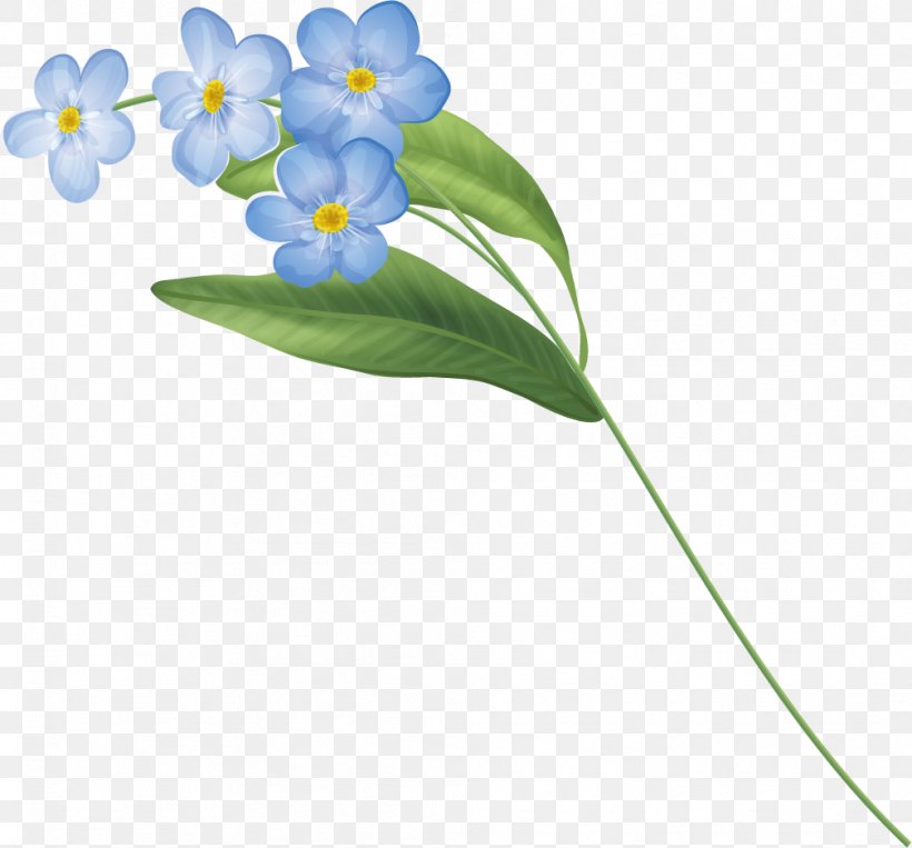 Clip Art Image Flower Petal, PNG, 1008x938px, Flower, Borage Family, Flora, Flowering Plant, Information Download Free