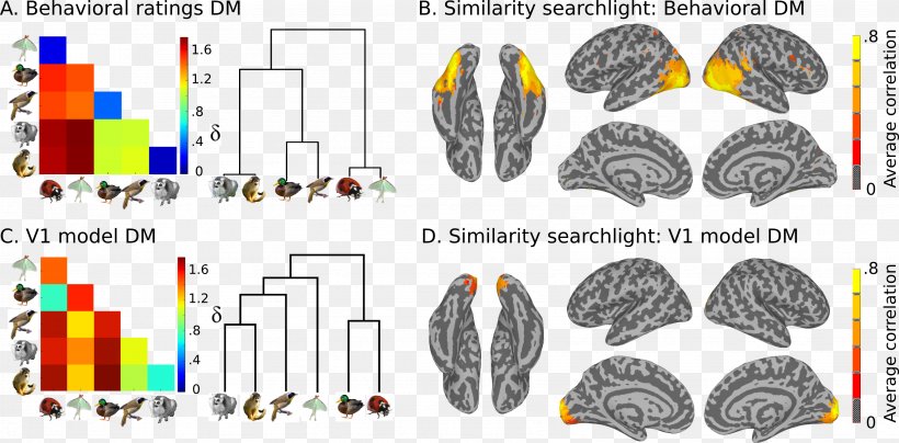 Electroencephalography Functional Magnetic Resonance Imaging Analysis Research Brain, PNG, 3464x1707px, Electroencephalography, Analysis, Brain, Diagram, Epilepsy Download Free