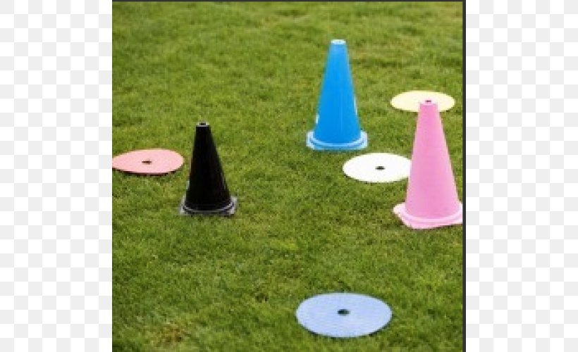 Lawn Plastic Cone Google Play, PNG, 800x500px, Lawn, Cone, Google Play, Grass, Plastic Download Free