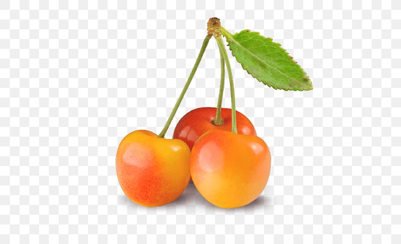Cherries Rainier Cherry Royal Ann Cherry Bing Cherry Food, PNG, 500x500px, Cherries, Bing Cherry, Black Cherry, Cherry, Cherry Tomato Download Free