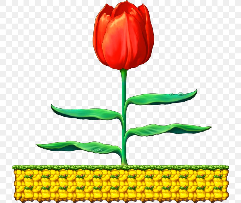 Tulip Plant Stem Cut Flowers Petal Clip Art, PNG, 740x689px, Tulip, Botany, Cut Flowers, Flower, Flowering Plant Download Free