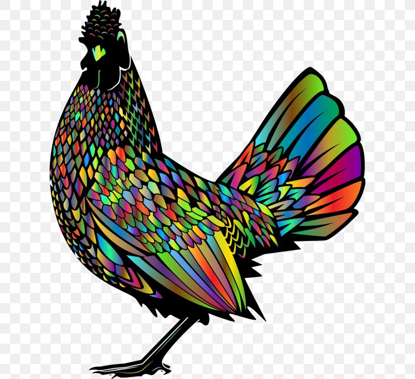 Chicken Cartoon, PNG, 624x750px, Rooster, Beak, Bird, Broiler, Cartoon Download Free