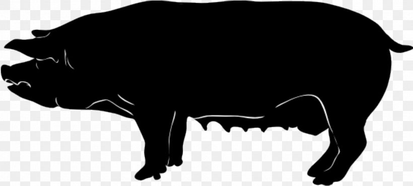 Domestic Pig Silhouette Clip Art, PNG, 1920x864px, Domestic Pig, Bison, Black, Black And White, Bull Download Free