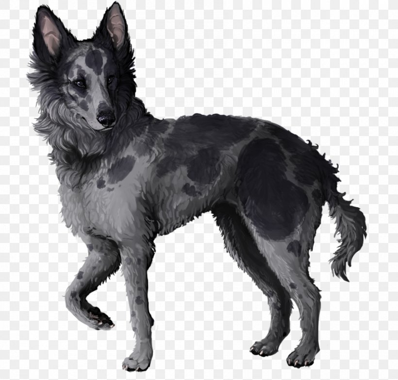 Mudi Tervuren Shiloh Shepherd Dog Kunming Wolfdog Kuvasz, PNG, 900x859px, Mudi, American Kennel Club, Animal, Black And White, Breed Download Free