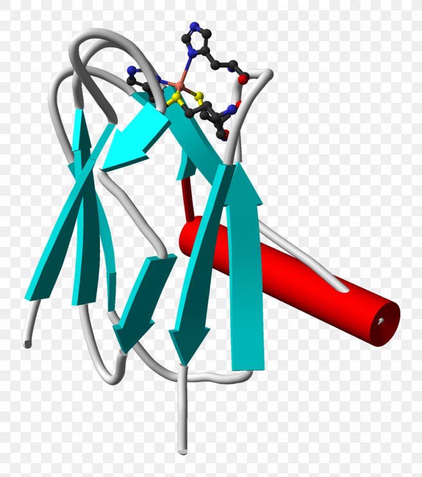 Plastocyanin Light-dependent Reactions Cytochrome B6f Complex Photosystem, PNG, 972x1100px, Plastocyanin, Beta Barrel, Cytochrome, Cytochrome B6f Complex, Cytochrome F Download Free