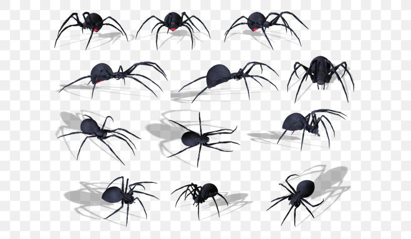 Spider Clip Art Adobe Photoshop Image, PNG, 640x476px, Spider, Animal, Ant, Arachnid, Arthropod Download Free