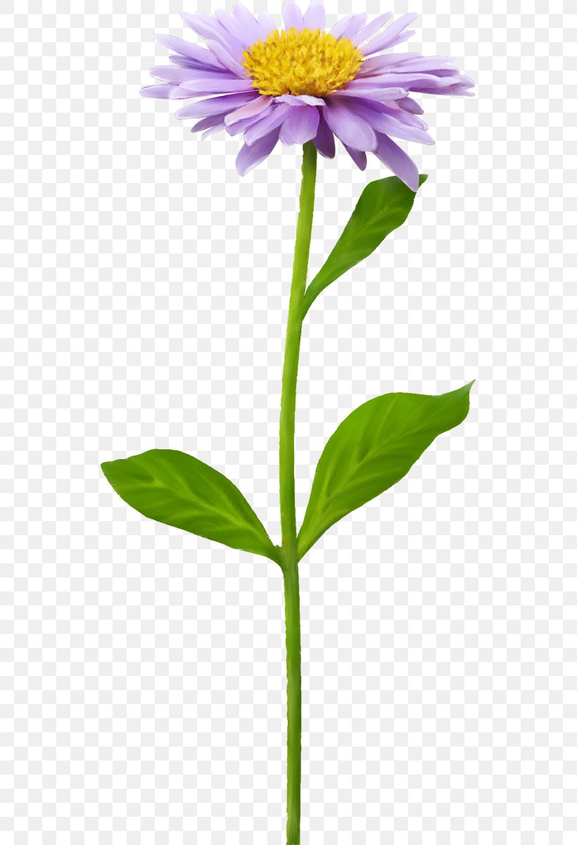 Clip Art Flower Image Adobe Photoshop, PNG, 533x1200px, Flower, Annual Plant, Aster, Coneflower, Daisy Family Download Free