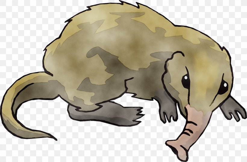 Elephant Shrew Clip Art Animal, PNG, 1280x842px, Shrew, Animal, Anteater, Cartoon, Claw Download Free