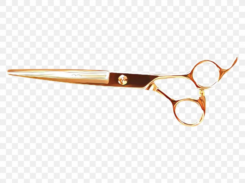 Glasses Background, PNG, 3000x2249px, Cartoon, Cutting Tool, Eyewear, Glasses, Hair Care Download Free