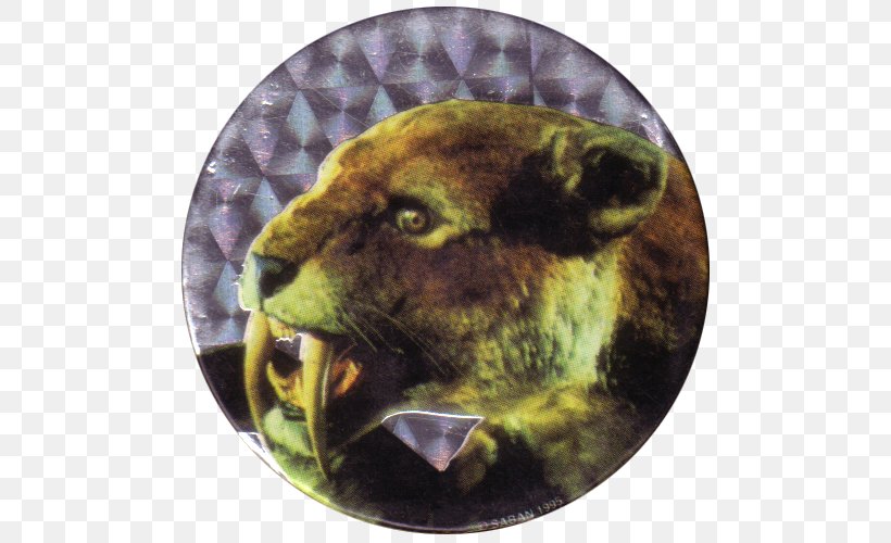 Lion Cat Cougar Roar Siberian Tiger, PNG, 500x500px, Lion, Bengal Tiger, Big Cat, Big Cats, Carnivora Download Free