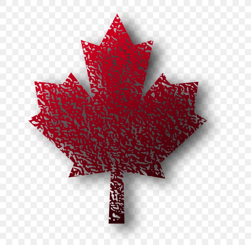 Maple Leaf Clip Art, PNG, 698x800px, Maple Leaf, Autumn Leaf Color, Drawing, Flag Of Canada, Flowering Plant Download Free