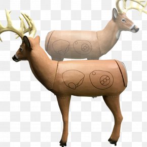 Bow And Arrow Shooting - Target Archery Elk Reindeer Morrell Targets Manufacturing PNG