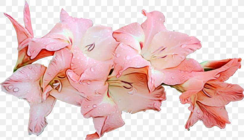 Artificial Flower, PNG, 1024x588px, Watercolor, Artificial Flower, Cut Flowers, Flower, Gladiolus Download Free