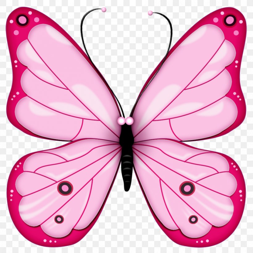 Butterfly Clip Art, PNG, 894x893px, Butterfly, Arthropod, Blog, Brush Footed Butterfly, Clip Art Download Free