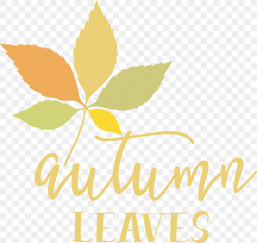 Leaf Logo Font Line Tree, PNG, 3000x2841px, Autumn Leaves, Autumn, Biology, Fall, Flower Download Free