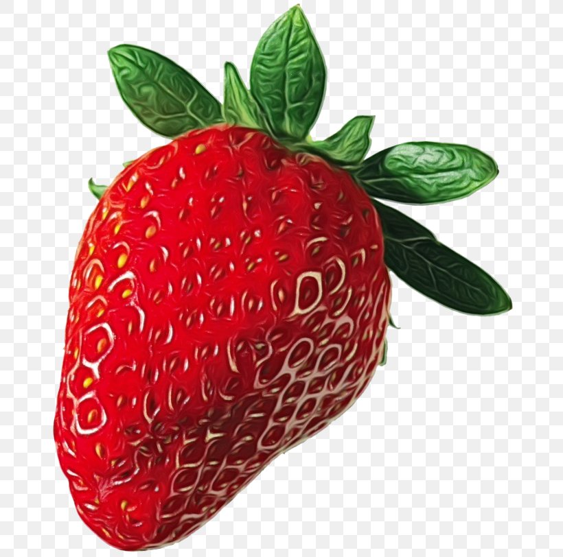 Watercolor Plant, PNG, 682x812px, Strawberry, Accessory Fruit, Berry, Food, Fruit Download Free