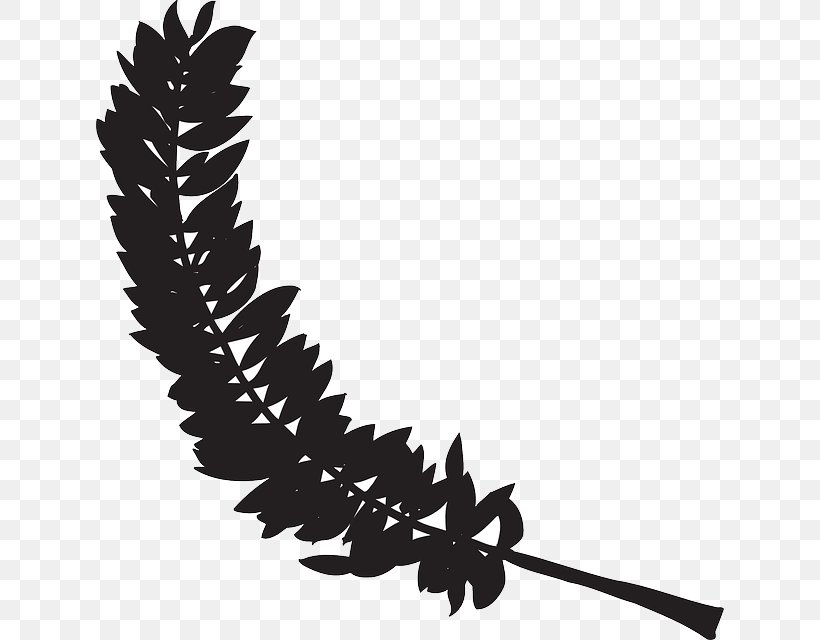 Bird Feather Clip Art, PNG, 628x640px, Bird, Beak, Bird Flight, Black And White, Branch Download Free