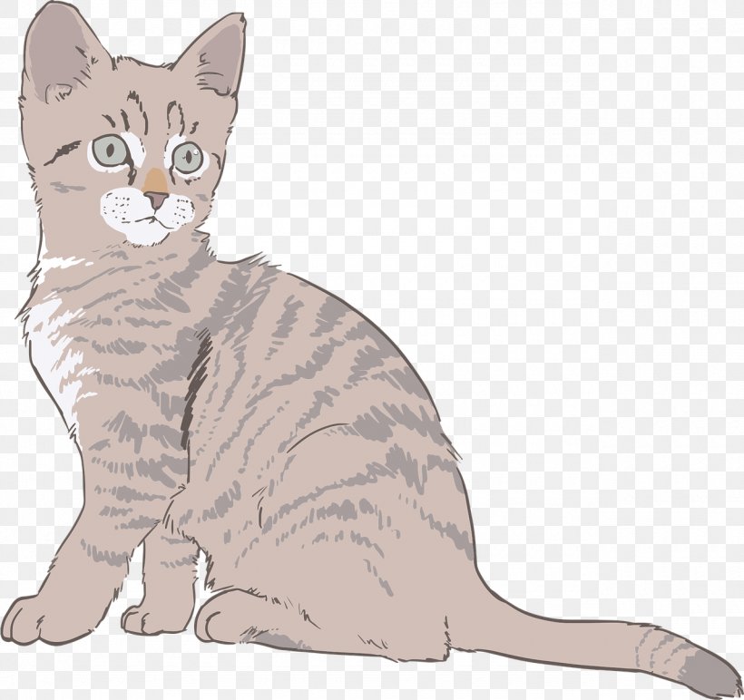 Tabby Cat Kitten Drawing Clip Art, PNG, 1280x1206px, Cat, American Shorthair, American Wirehair, Asian, Australian Mist Download Free