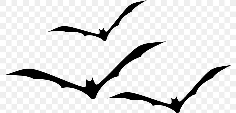 Bat Silhouette Count Dracula Clip Art, PNG, 793x392px, Bat, Art, Artwork, Beak, Bird Download Free