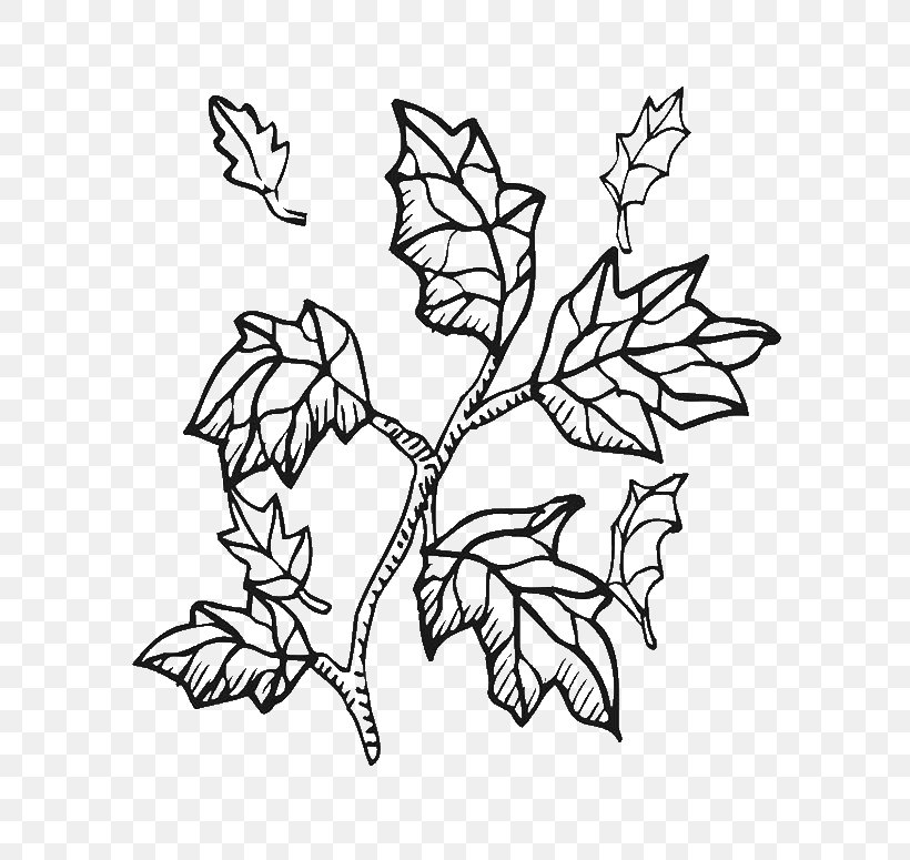 Coloring Book Twig Clip Art Tree Branch, PNG, 600x775px, Coloring Book