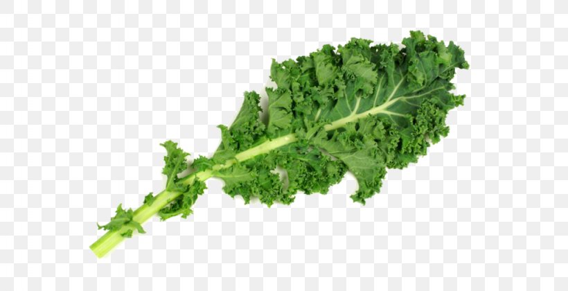 Lacinato Kale Collard Greens Spring Greens Broccoli Leaf, PNG, 1024x525px, Lacinato Kale, Brassica Oleracea, Broccoli, Capitata Group, Chard Download Free
