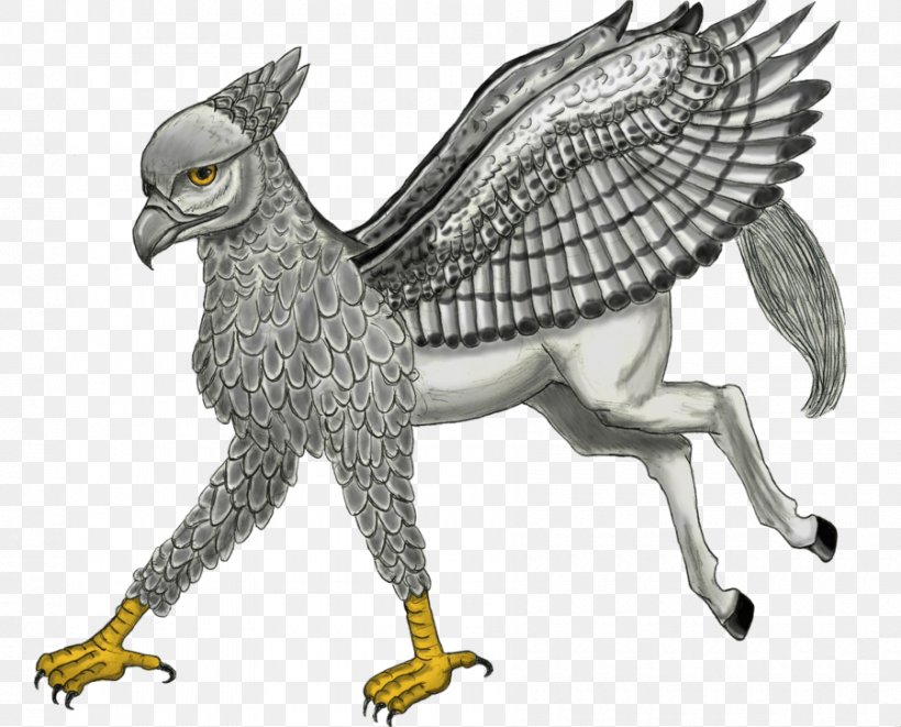 Owl Hawk Eagle Beak Feather, PNG, 900x726px, Owl, Art, Beak, Bird, Bird Of Prey Download Free