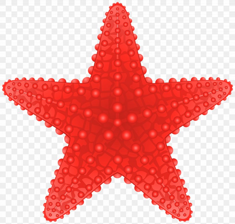 Starfish Royalty-free Clip Art, PNG, 6000x5741px, Starfish, Drawing, Echinoderm, Invertebrate, Marine Invertebrates Download Free