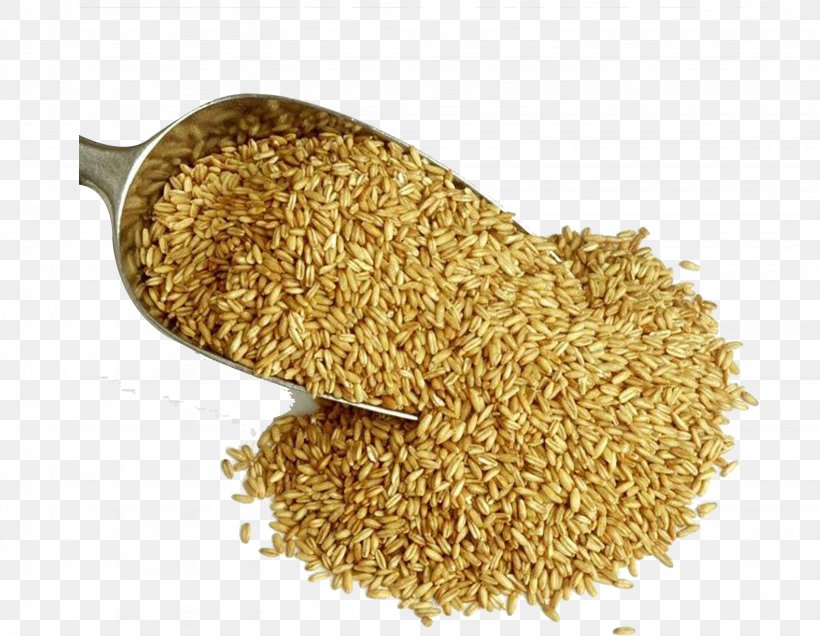 Adlay Oat Barley, PNG, 3072x2383px, Adlay, Barley, Bran, Cereal, Cereal Germ Download Free