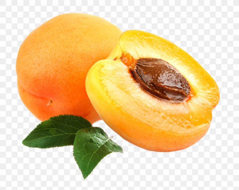 Amygdalin Apricot Kernel Cancer Apricot Oil, PNG, 1024x814px, Amygdalin, Alternative Cancer Treatments, Alternative Health Services, Apricot, Apricot Kernel Download Free