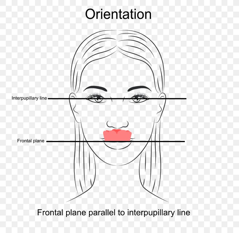 Dentistry A Clinical Guide To Occlusion Orthodontics Jaw, PNG, 800x800px, Watercolor, Cartoon, Flower, Frame, Heart Download Free