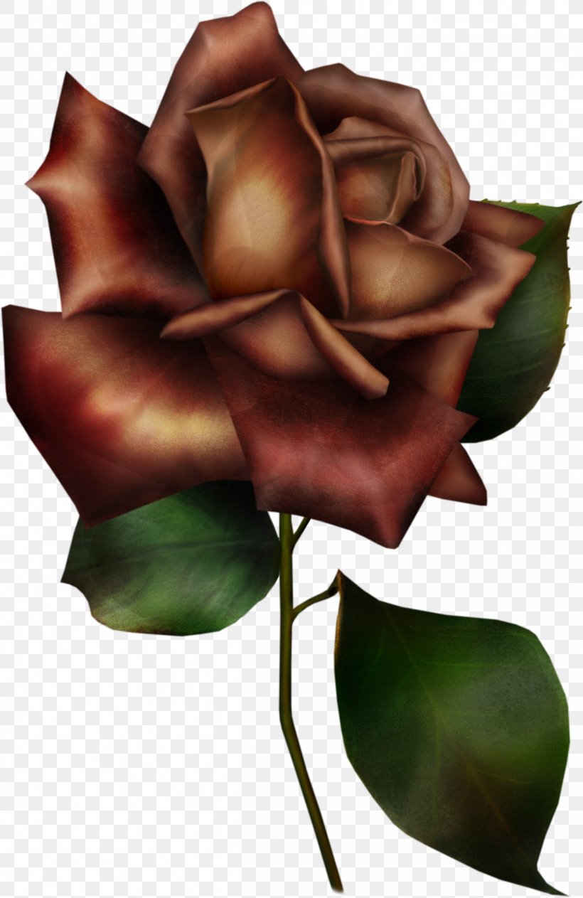 Flower Garden Roses Blue Rose Clip Art, PNG, 1254x1932px, Flower, Arumlily, Blue, Blue Rose, Bud Download Free