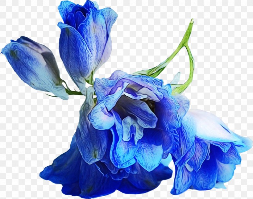 Blue Petal Flower Cut Flowers Purple, PNG, 1280x1007px, Watercolor, Aqua, Blue, Cobalt Blue, Cut Flowers Download Free