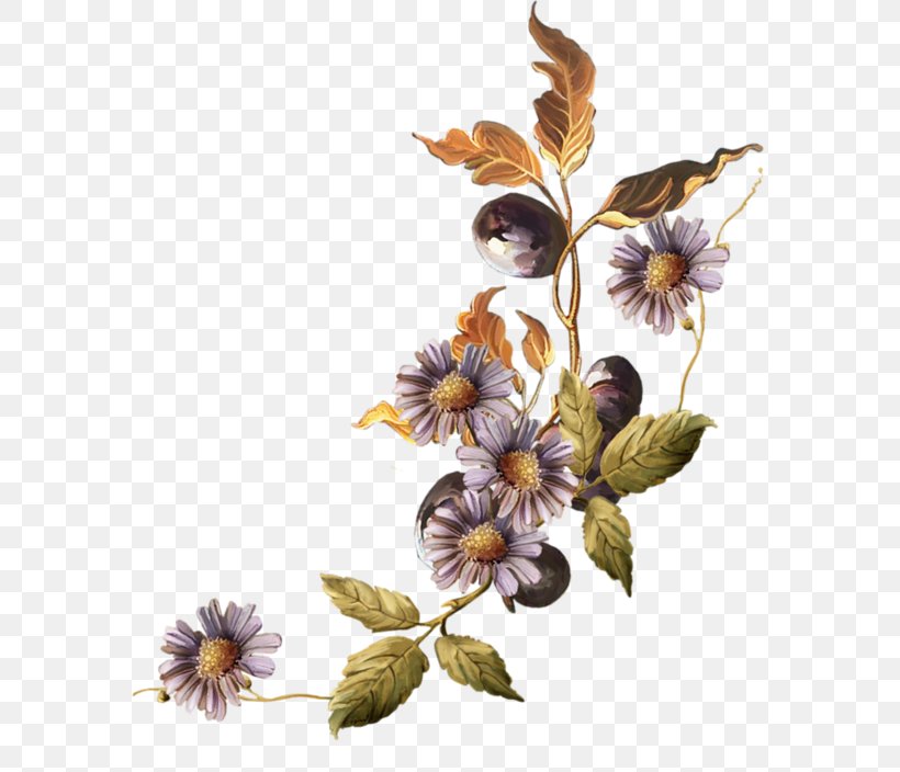 Bokmxe4rke, PNG, 600x704px, Com File, Color, Flora, Floral Design, Flower Download Free